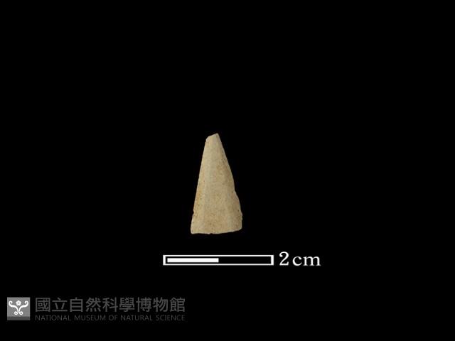矛鏃形器藏品圖，第1張