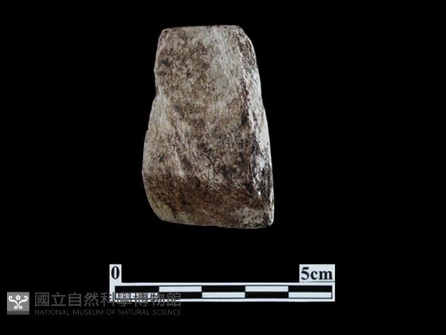 錛鑿形器藏品圖，第1張