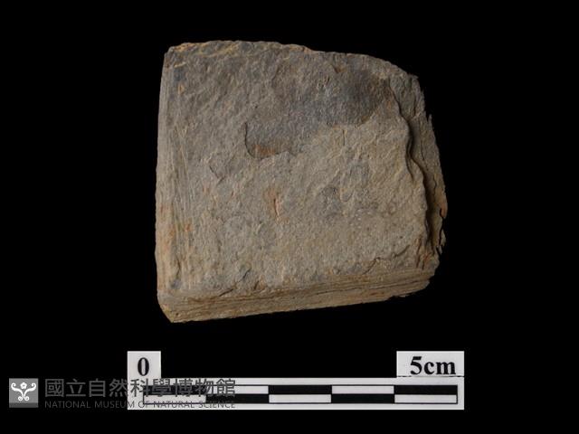 帶加工痕石材藏品圖，第2張