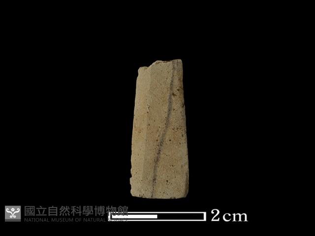 矛鏃形器藏品圖，第1張