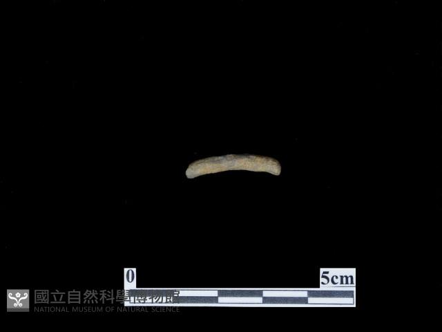 帶加工痕石材藏品圖，第1張