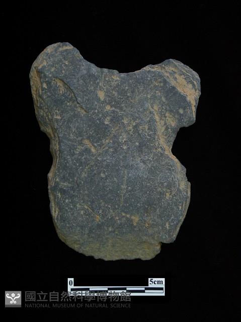 矛鏃形器藏品圖，第1張