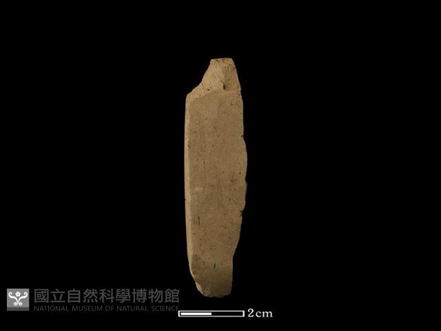 錛鑿形器藏品圖，第2張