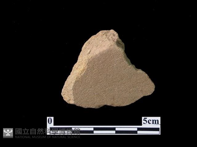 網墜藏品圖，第1張