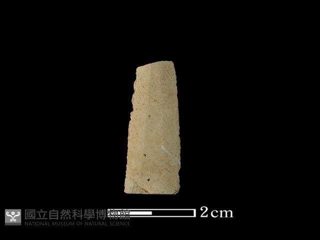 矛鏃形器藏品圖，第1張