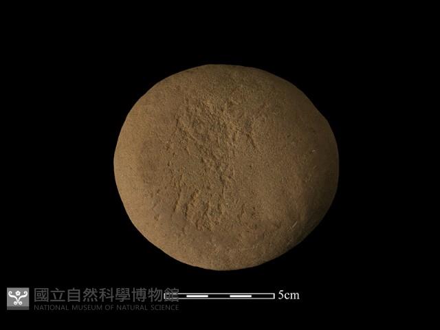 石鎚藏品圖，第2張