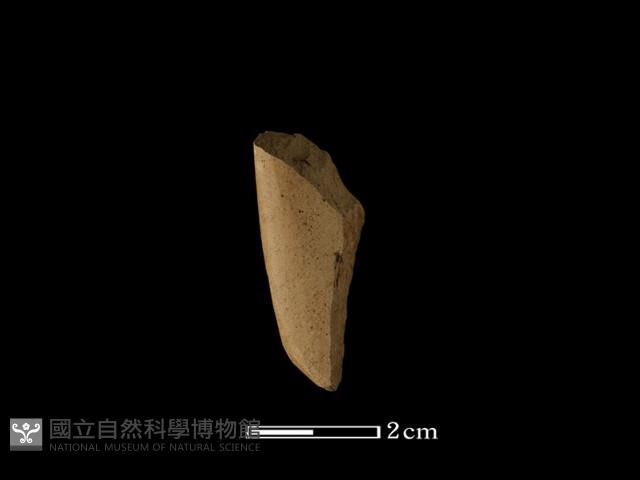 錛鑿形器藏品圖，第1張