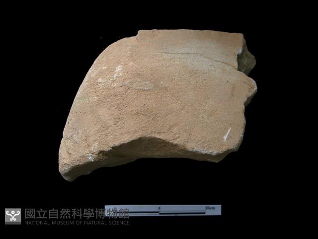 磨製石器藏品圖，第2張