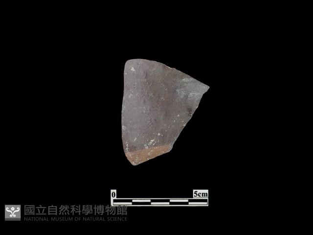 陶片藏品圖，第1張