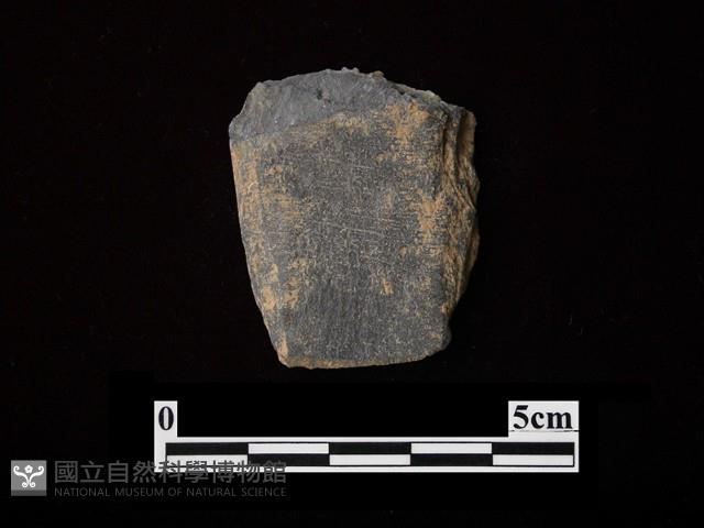 磨製有刃石器藏品圖，第1張