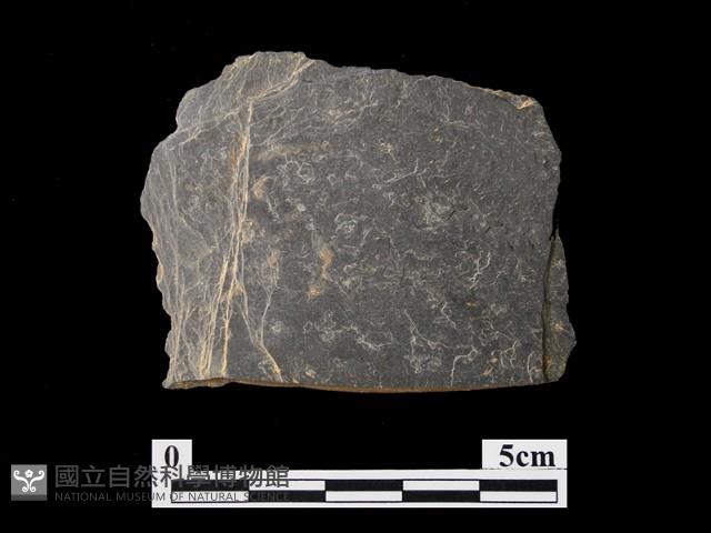帶加工痕石材藏品圖，第1張
