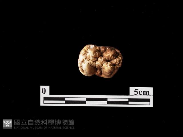 石材藏品圖，第1張