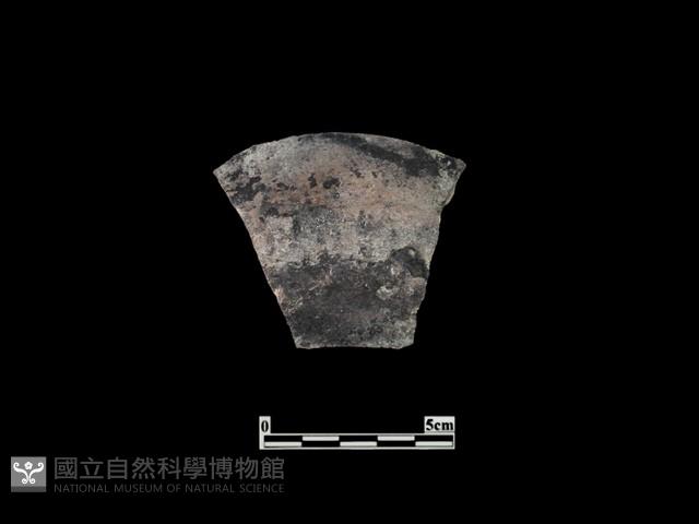 陶片藏品圖，第2張