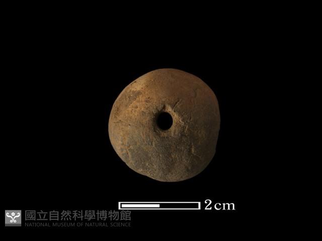 紡輪藏品圖，第2張