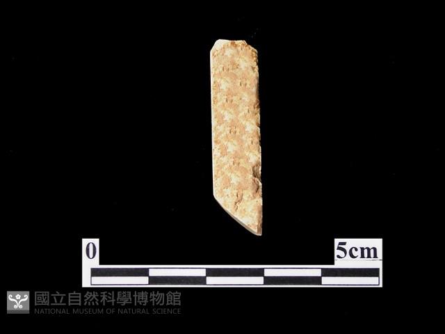 錛鑿形器藏品圖，第2張