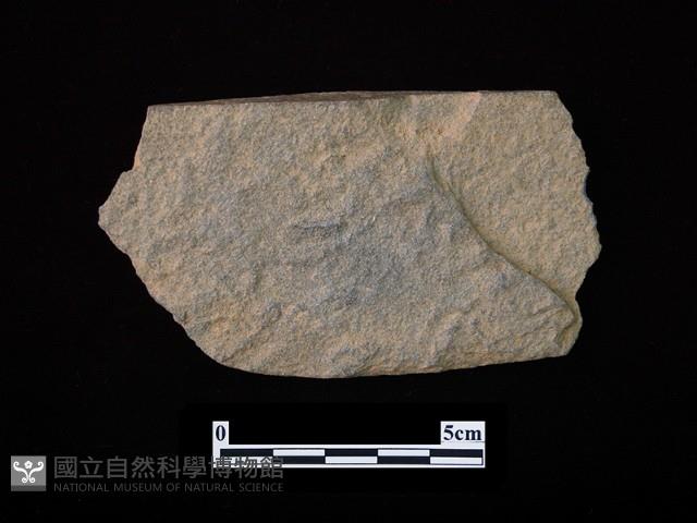 石片器藏品圖，第2張
