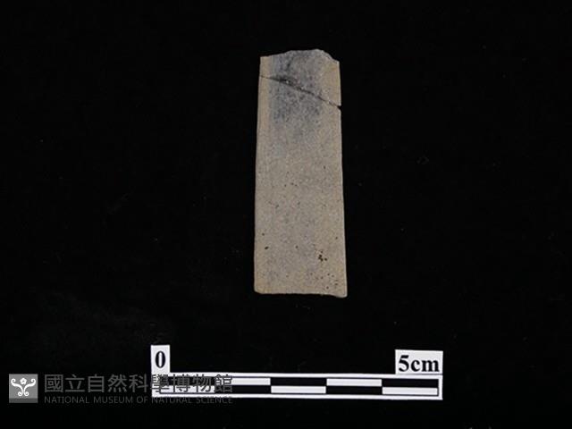 矛鏃形器藏品圖，第1張