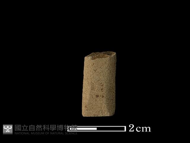 矛鏃形器藏品圖，第2張