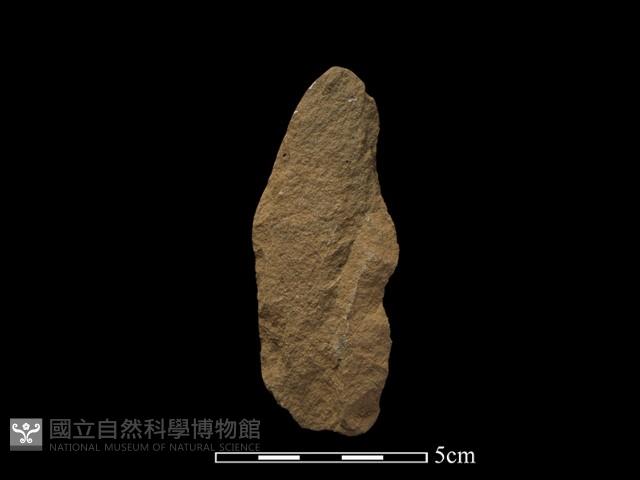 Accession Number:TPCN1-798 Collection Image, Figure 2, Total 2 Figures