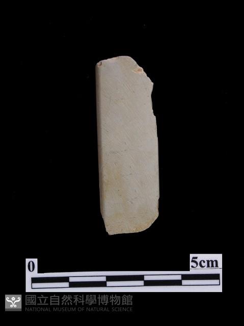 錛鑿形器藏品圖，第2張