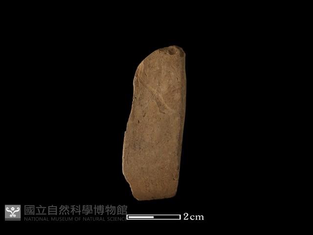 錛鑿形器藏品圖，第1張