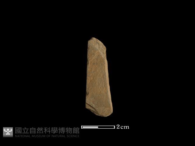 帶加工痕石材藏品圖，第1張