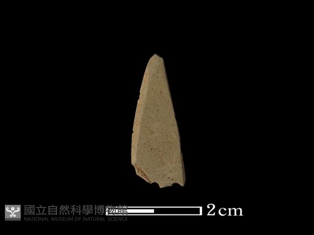 矛鏃形器藏品圖，第1張