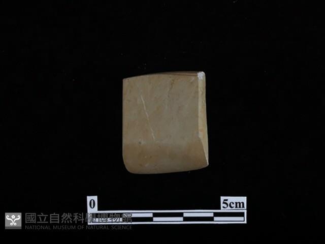 錛鑿形器藏品圖，第1張