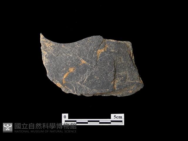 帶加工痕石材藏品圖，第2張