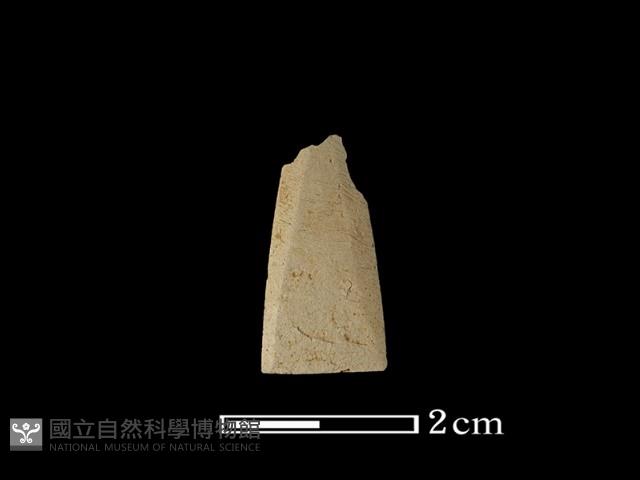 矛鏃形器藏品圖，第1張