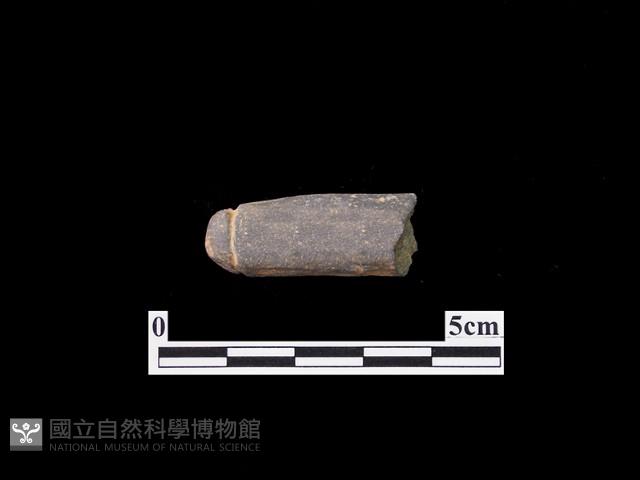 網墜藏品圖，第1張