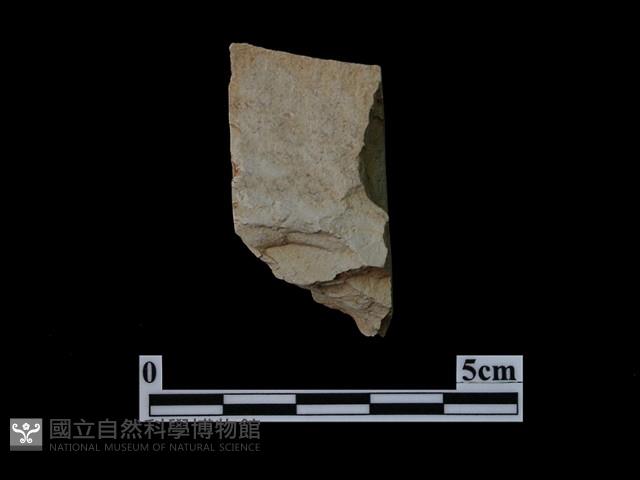 帶加工痕石材藏品圖，第1張