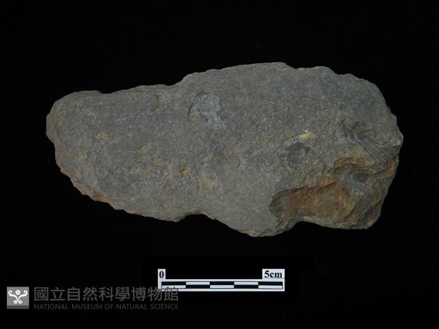 戈形器藏品圖，第1張