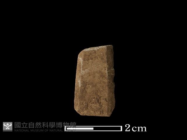 矛鏃形器藏品圖，第2張