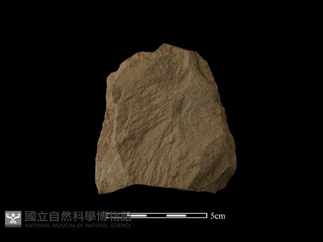 斧鋤形器藏品圖，第2張