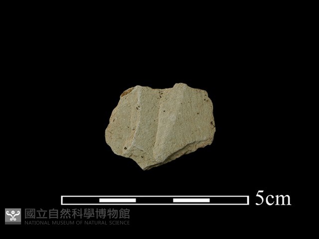 石材藏品圖，第2張