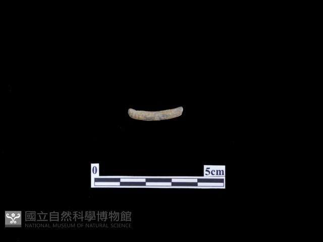 磨製有刃石器藏品圖，第1張