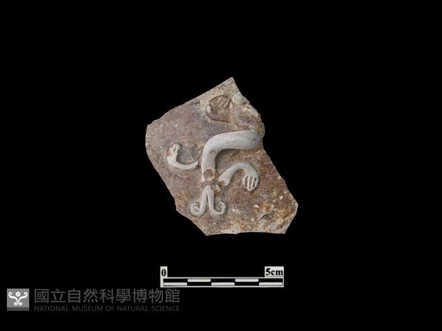 缸蓋藏品圖，第1張