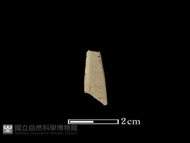 矛鏃形器藏品圖，第1張