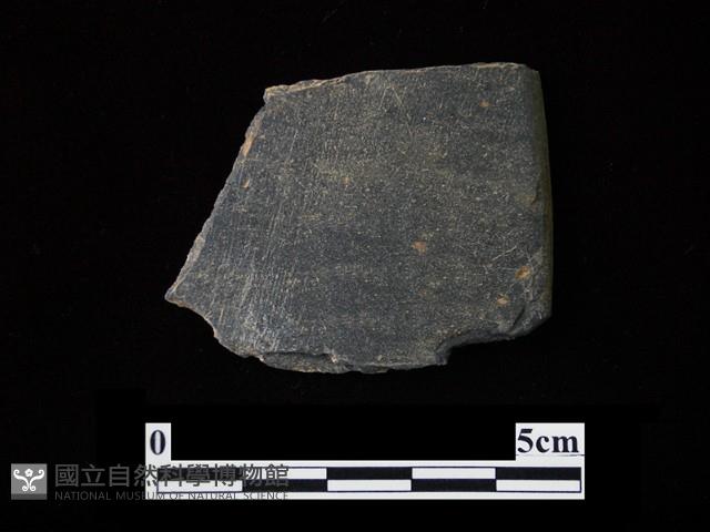 磨製有刃石器藏品圖，第1張