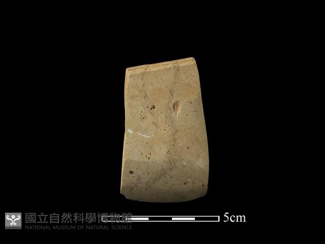 錛鑿形器藏品圖，第2張