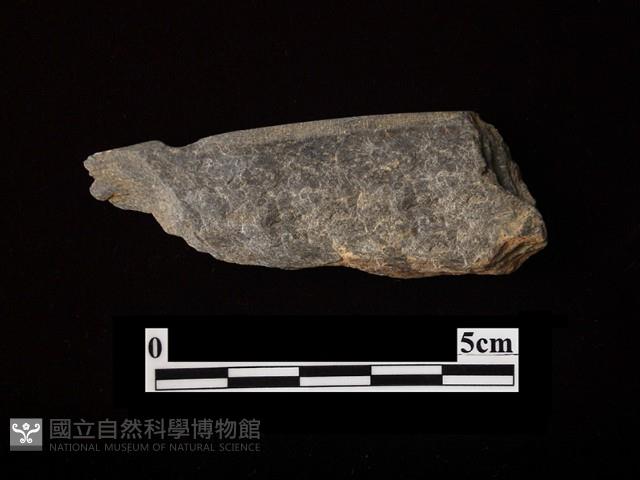 帶加工痕石材藏品圖，第2張