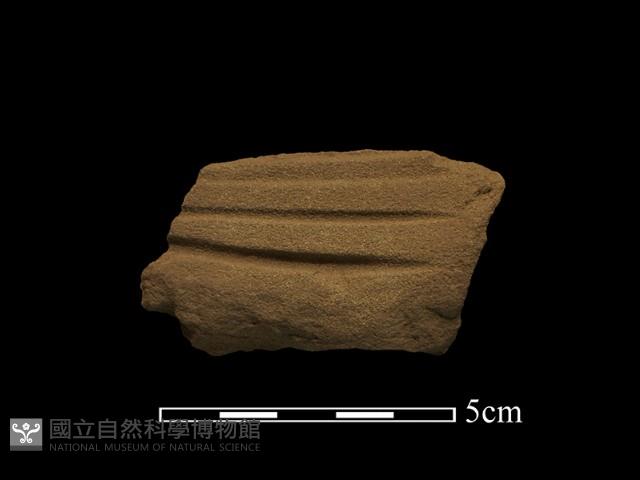 磨製石器藏品圖，第1張