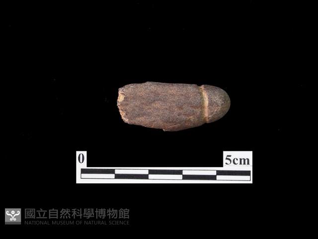 網墜藏品圖，第2張