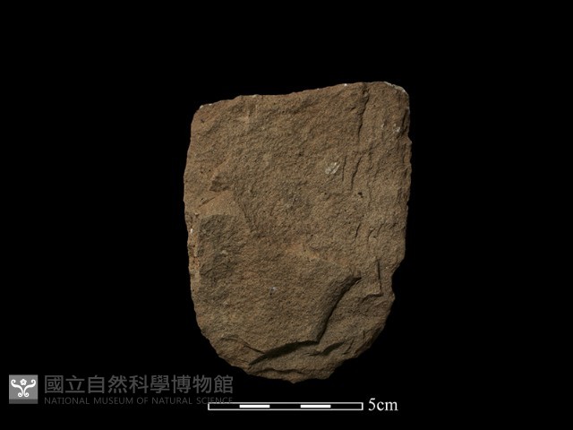 斧鋤形器藏品圖，第2張