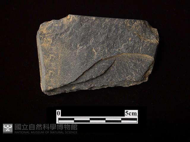 戈形器藏品圖，第1張
