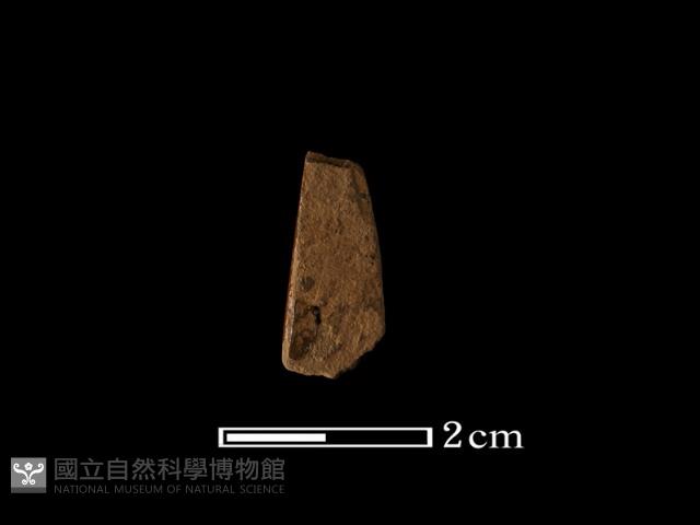 矛鏃形器藏品圖，第1張