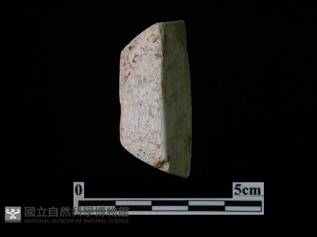 錛鑿形器藏品圖，第1張