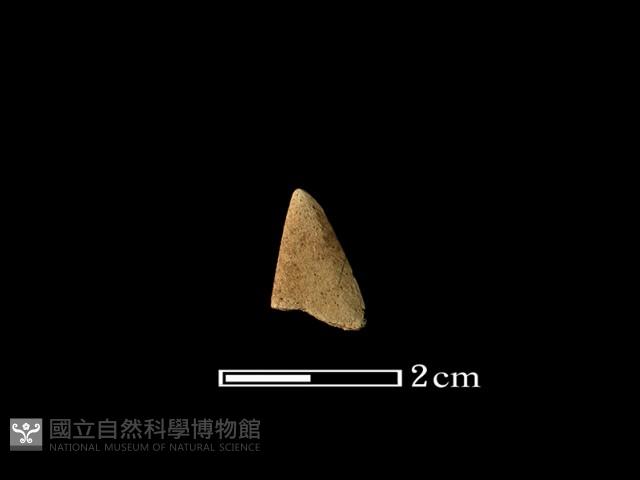 矛鏃形器藏品圖，第1張