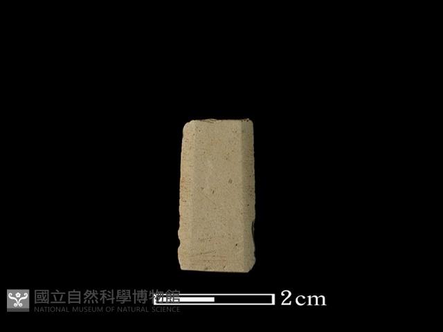 矛鏃形器藏品圖，第1張